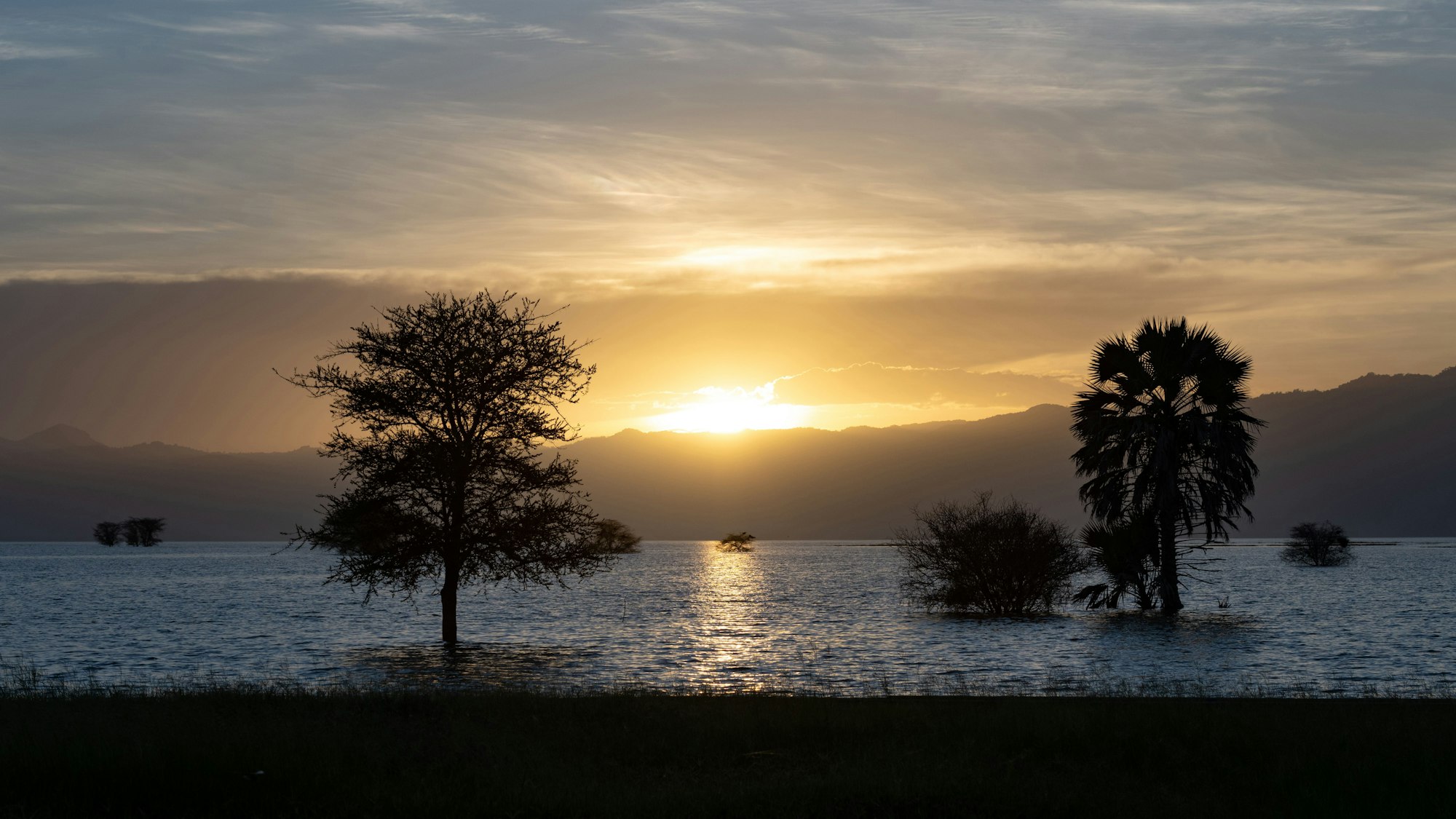 Panoramic shot of Manyara Lake with silhouettes of trees in it and sunset on the background